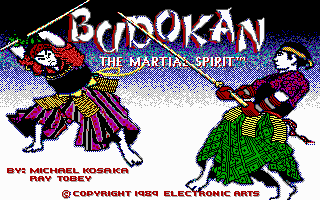 budokan-the-martial-spirit_1